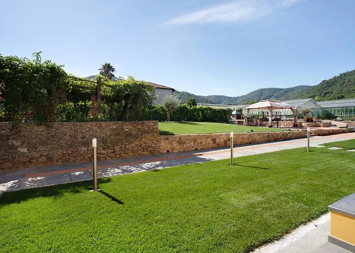 Agriturismo Il Borgo - Ulivo
